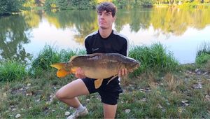 Mirror Carp