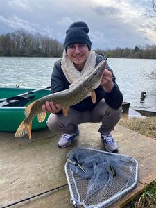 Northern Pike
