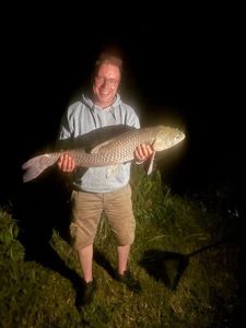 Grass Carp