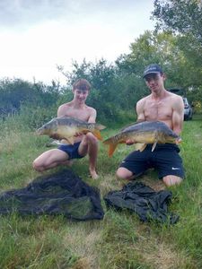 Mirror Carp