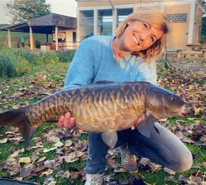Common Carp