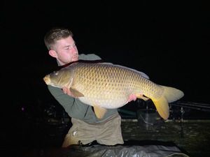 Common Carp