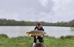 Mirror Carp