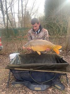 Mirror Carp