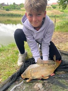 Mirror Carp
