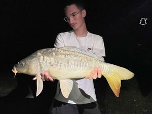 Mirror Carp