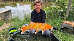 Koï Fish