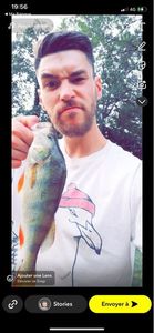 European Perch