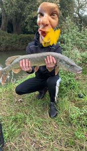 Northern Pike