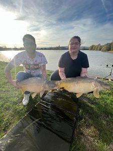Mirror Carp
