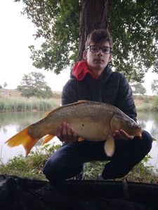 Mirror Carp