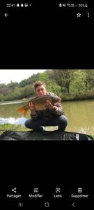 Mirror Carp