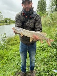 Northern Pike