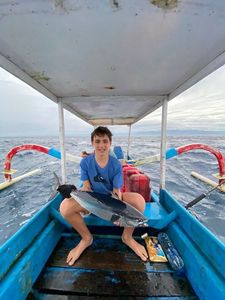 Atlantic Bonito