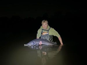 Sturgeon