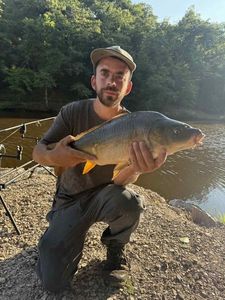 Mirror Carp