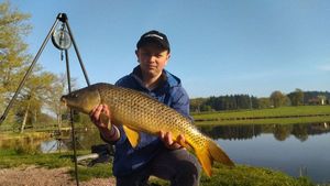 Common Carp