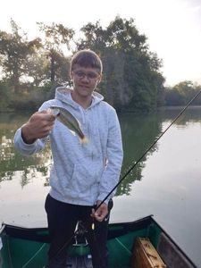 Largemouth Bass