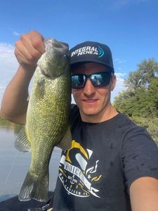 Largemouth Bass