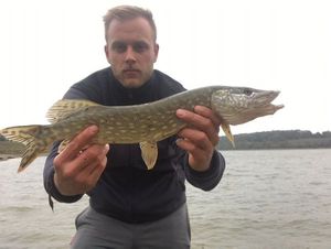 Northern Pike