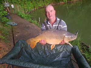 Mirror Carp