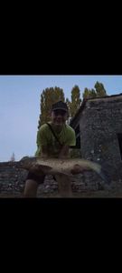 Grass Carp