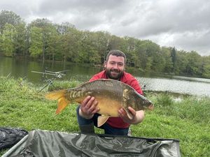 Mirror Carp