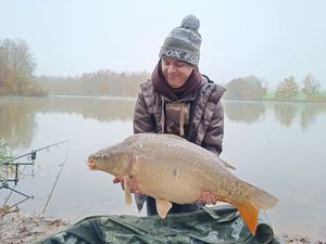 Mirror Carp