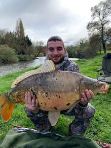 Mirror Carp