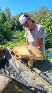 Mirror Carp