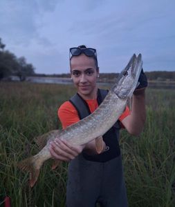 Northern Pike