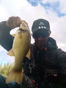 Largemouth Bass