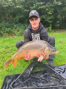 Mirror Carp