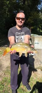 Common Carp