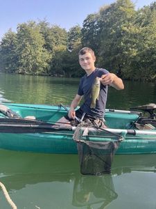 Largemouth Bass