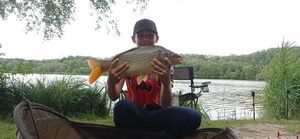 Common Carp