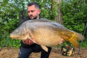 Mirror Carp