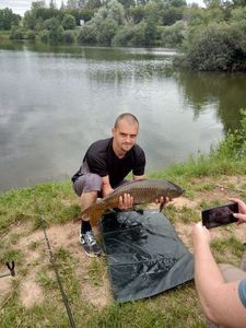 Common Carp