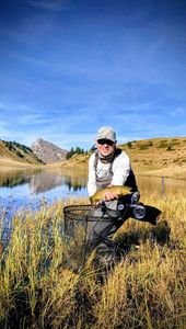 Brown Trout