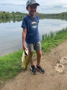 Largemouth Bass
