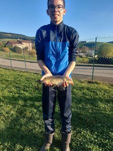 Mirror Carp