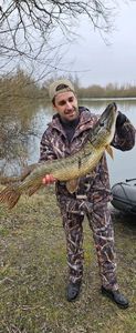 Northern Pike
