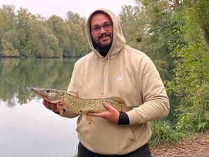 Northern Pike