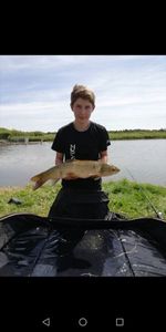 Grass Carp