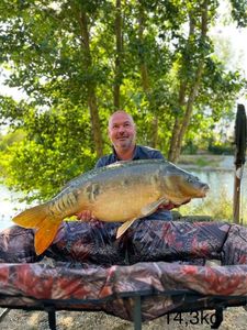 Mirror Carp