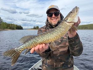 Northern Pike