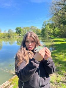 Rainbow Trout