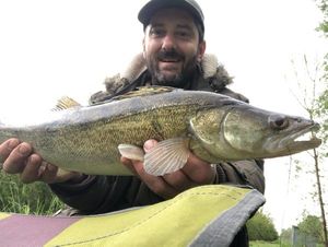 Zander