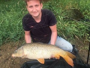 Common Carp