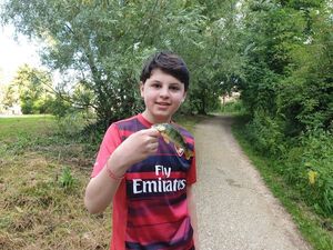 European Perch